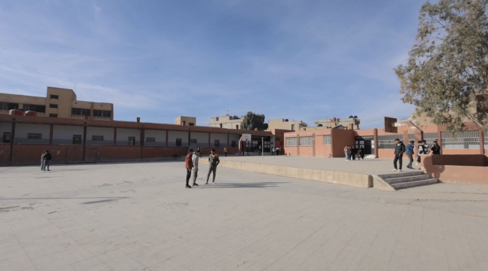 School 8